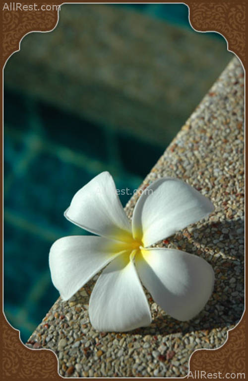 Sukko Cultural Spa Resort 38